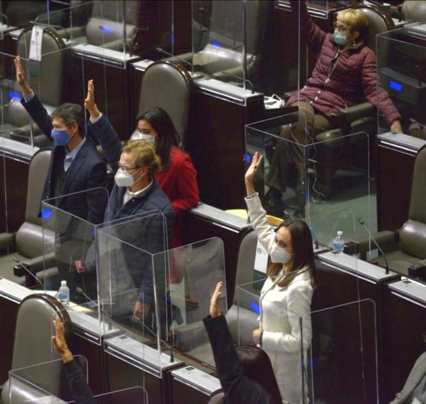 Diputados del PVEM, reiteran que votaron en contra de la extinci&oacute;n de fideicomisos