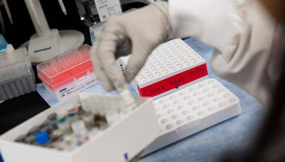 Cient&iacute;ficos chilenos estudian posible mutaci&oacute;n de Covid-19