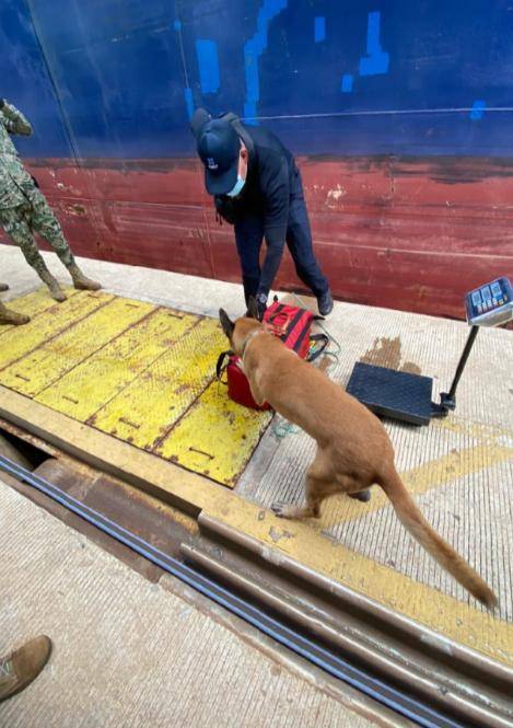Autoridades decomisan 37 kilos de cocaína procedente de Colombia en Lázaro Cárdenas