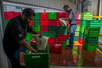 Anticipan alza de 2.4% en producci&oacute;n lechera