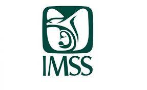 Ante temor de sindemia, IMSS anuncia compra de equipo de protecci&oacute;n