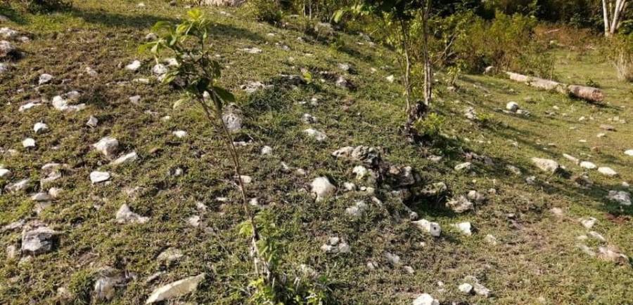 En construcci&oacute;n del tren maya en Campeche hallan m&aacute;s de 2 mil vestigios arqueol&oacute;gicos