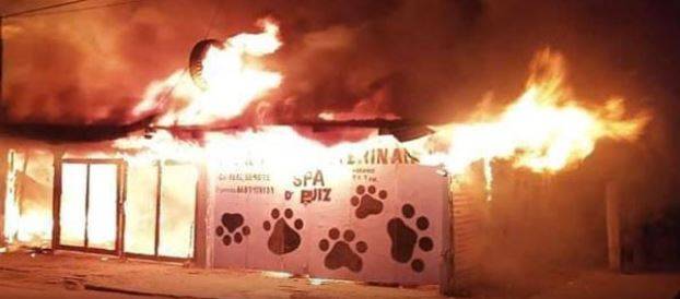 Fallecen 5 perritos calcinados, se incendió una veterinaria en Matamoros