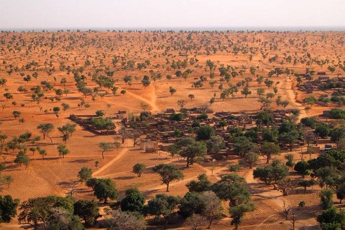 Hallan millones de &aacute;rboles en el desierto del Sahara