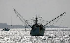 Personal de la armada de México rescató a cuatro personas que naufragaban en el puerto de Mazatlán, Sinaloa