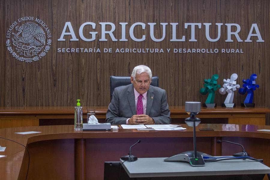 Agricultura activa esquemas de financiamiento y crédito para productores de granos básicos