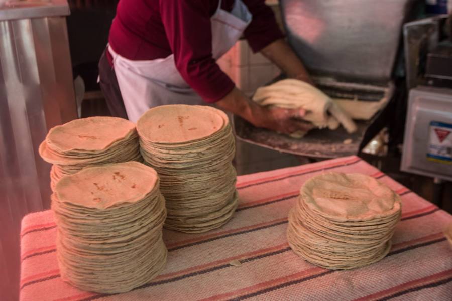 Precio de la tortilla aumentará en todo el país a partir de diciembre