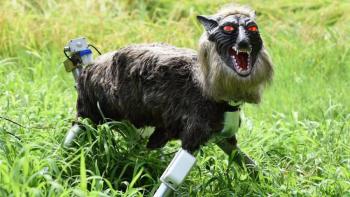 ¡Es real! Un pueblo en Jap&oacute;n despliega lobos robot para ahuyentar a los osos