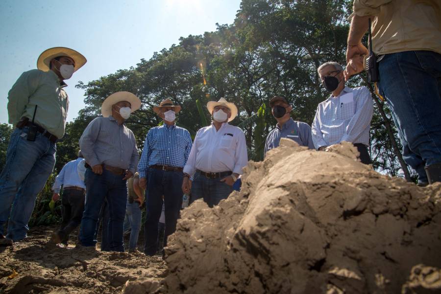 Recorren municipios de Tabasco para evaluar daño en cultivos agrícolas