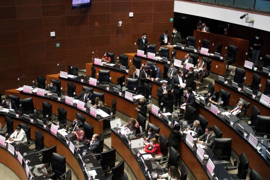 En Senado, listo proyecto para discutir regulaci&oacute;n de cannabis