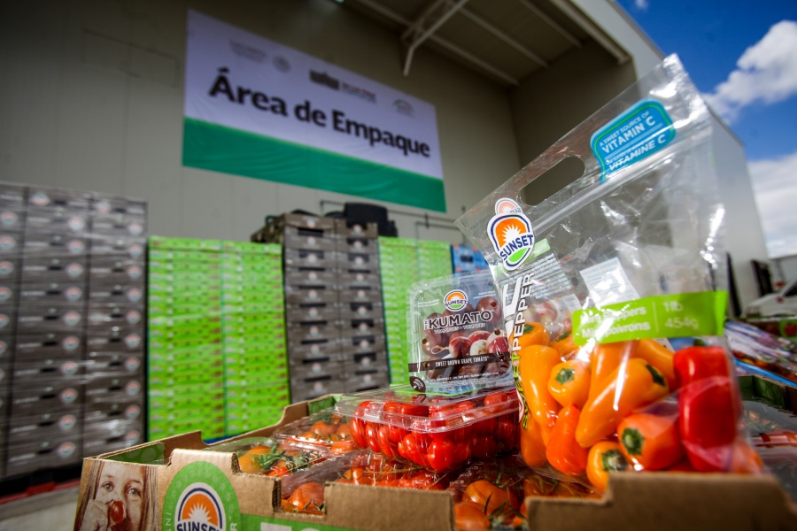 México reporta balanza agroalimentaria a favor