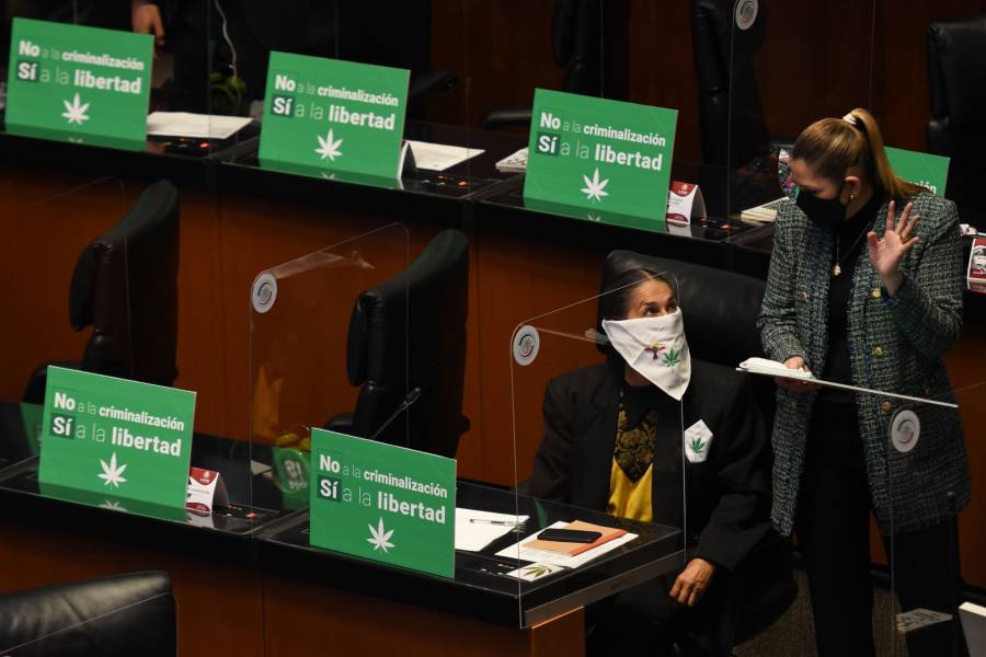 Senado aprueba uso lúdico de la marihuana
