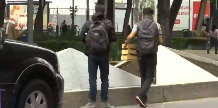 En pleno Paseo de la Reforma, siembran 100 plantas de marihuana