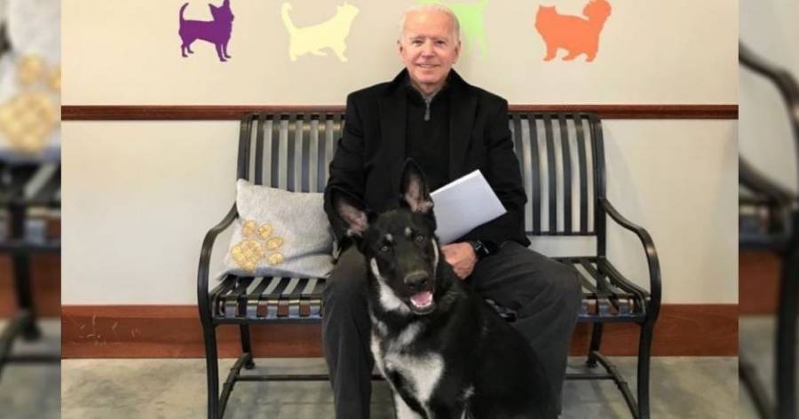 Se lastima un tobillo el presidente electo de EE. UU. mientras jugaba con su mascota