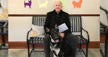 Se lastima un tobillo el presidente electo de EE. UU. mientras jugaba con su mascota
