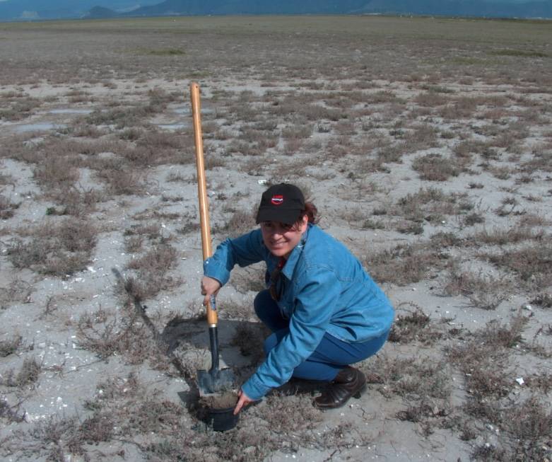 Patenta el IPN biotecnología para evitar el uso de químicos en el campo