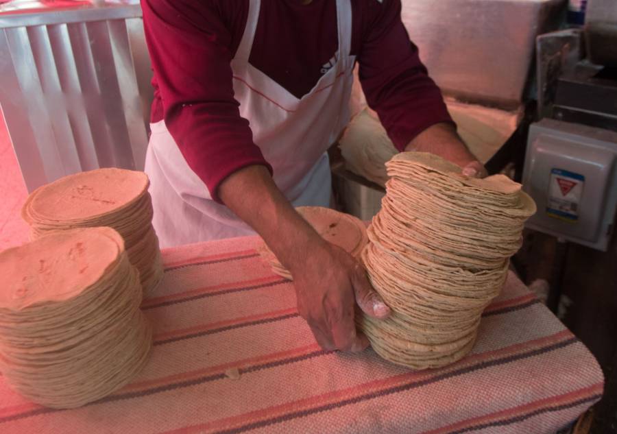 Llama AMLO a mantener precio de tortillas