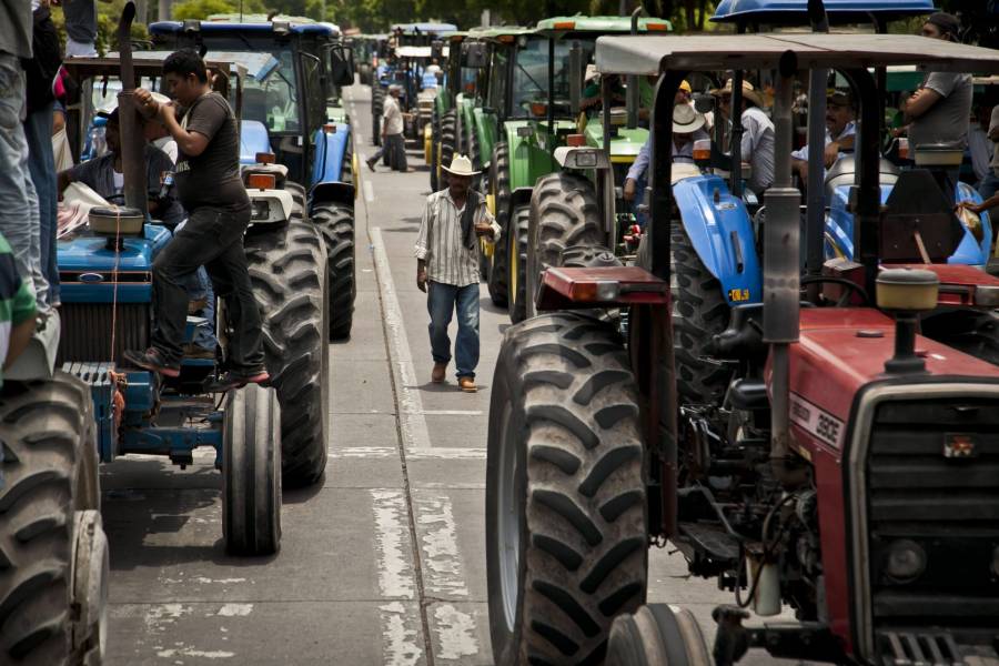 Movilizaciones en el campo por falta de apoyos