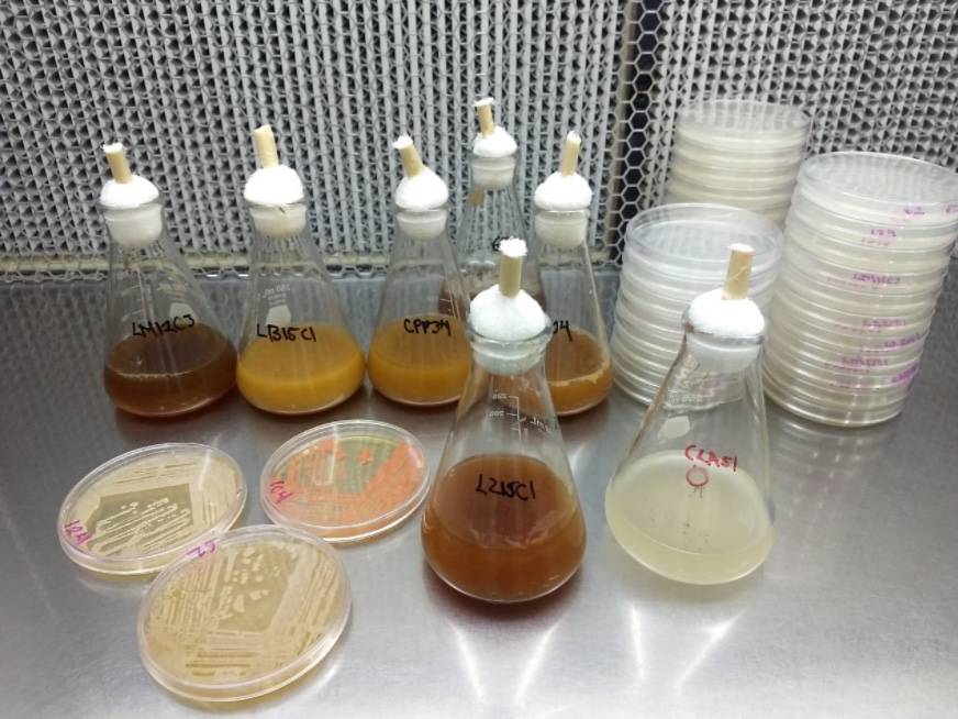 Estudia IPN contaminante que afecta el sistema endócrino