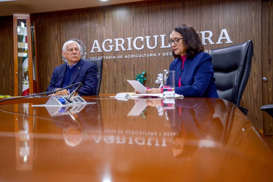 Agricultura: “México impulsa manejo sustentable de suelo”