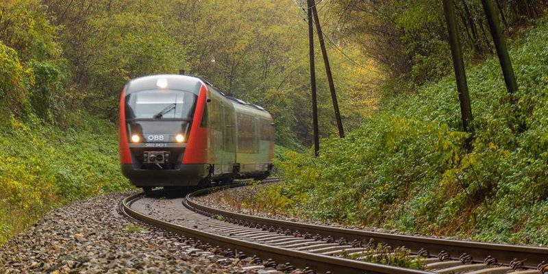 Obtienen comunidades suspensi&oacute;n contra obras de Tren Maya