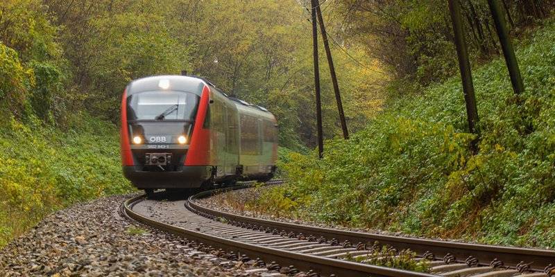 Obtienen comunidades suspensión contra obras de Tren Maya