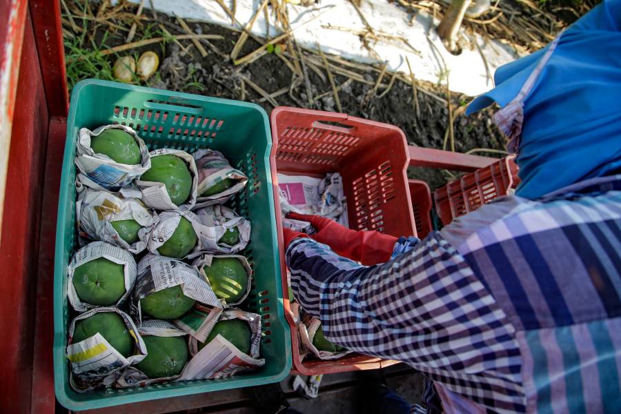 Agricultura y CNA se unen para catapultar el sector