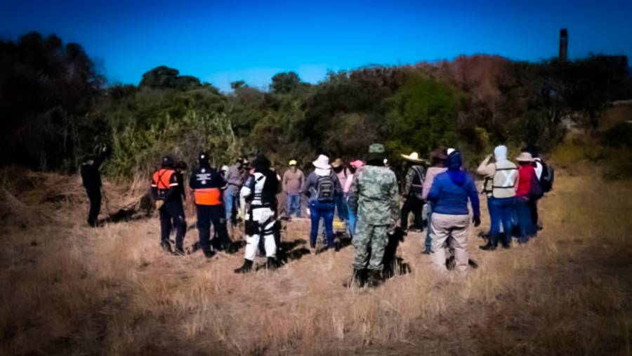 Localizan 14 fosas clandestinas en Acámbaro, Guanajuato