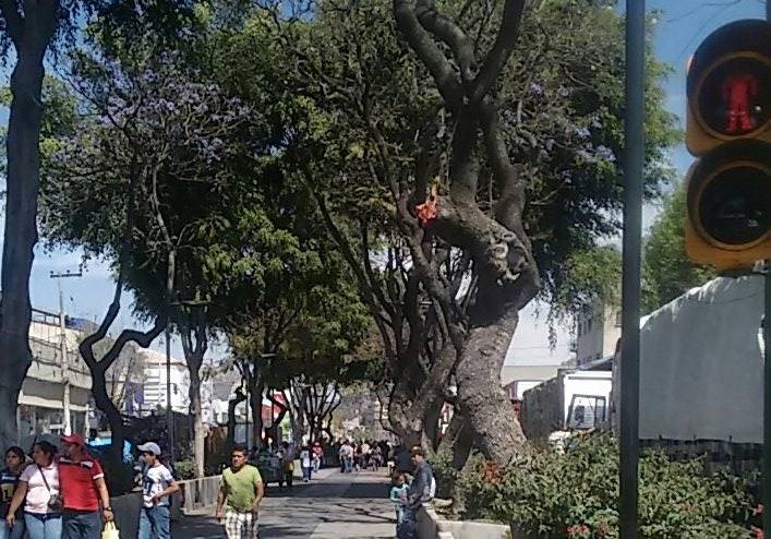 Cierre de vialidades y suspensión de TP este 12 de diciembre