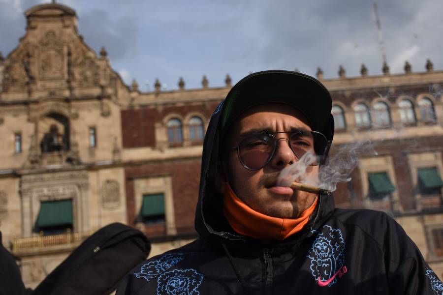 …Y diputados posponen hasta febrero tema de despenalizar cannabis