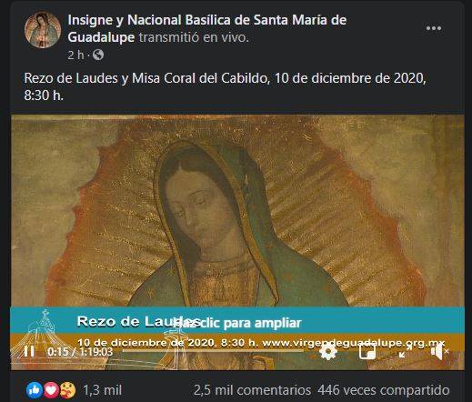 Horarios y transmisiones de la misa de celebración a la Virgen de Guadalupe, quédate en casa