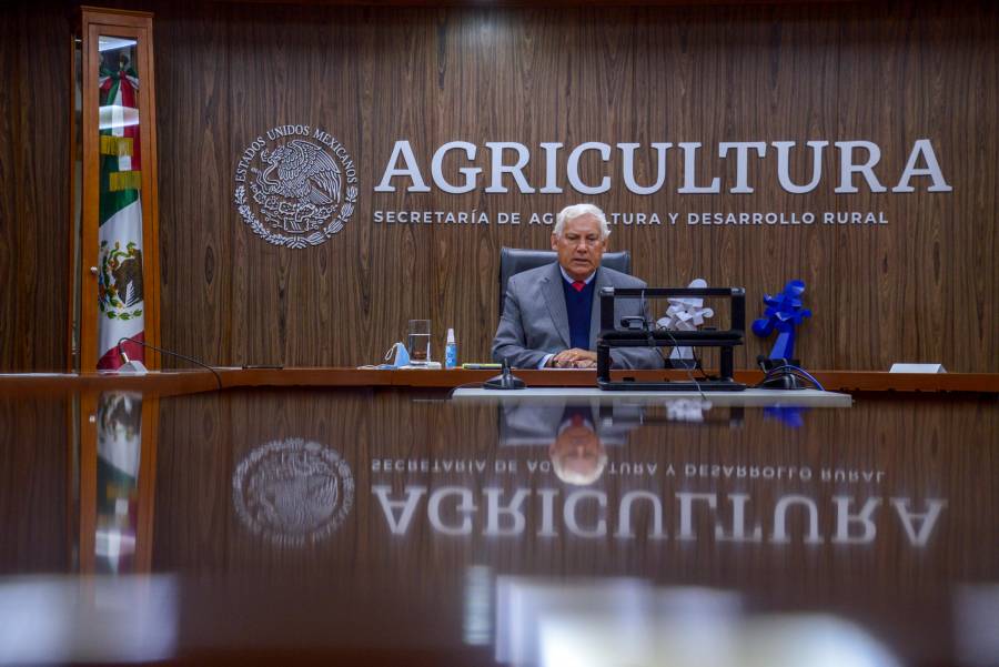 Secretar&iacute;a de Agricultura fortalece atenci&oacute;n en zonas &aacute;ridas y semi&aacute;ridas del pa&iacute;s
