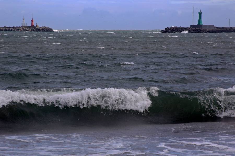 En puerto de Veracruz, fuertes vientos desprenden árboles y alzan olas por frente frío 23