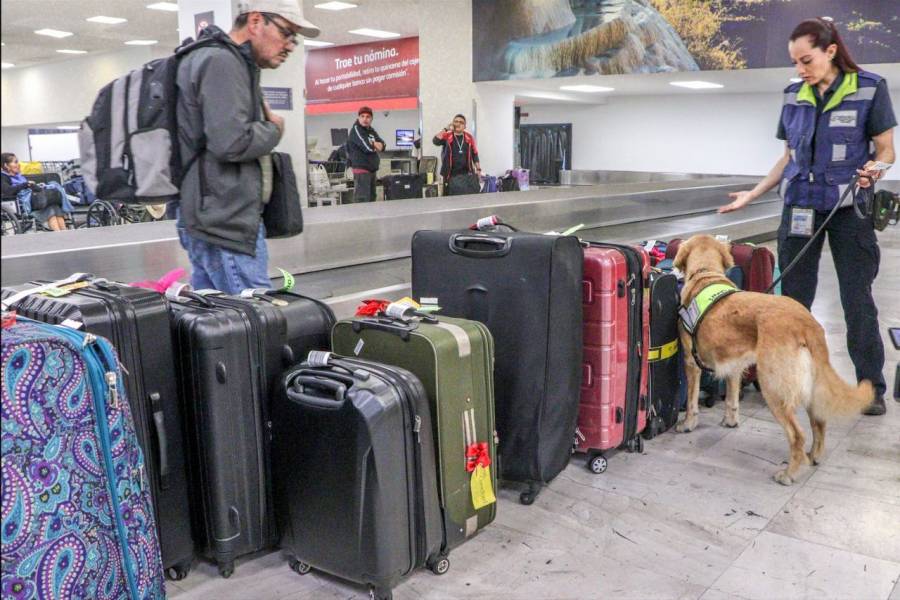 Evita Secretaría de Agricultura entrada al país de 21 especies de plagas