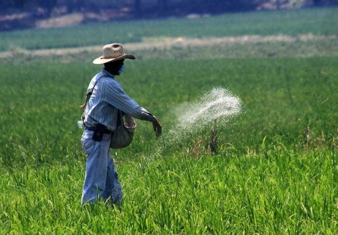 Amplía Agricultura apertura de ventanillas del programa Fertilizantes para Tlaxcala, Puebla y Morelos