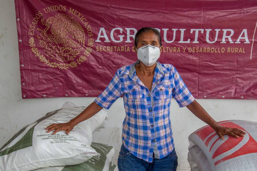Más del 60% de los productores de maíz beneficiados del Bienestar en Morelos ya recibieron insumos