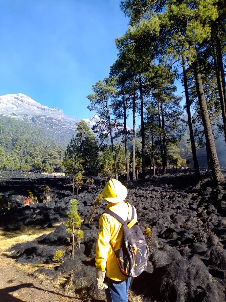 Controlan incendio en Parque Izta-Popo