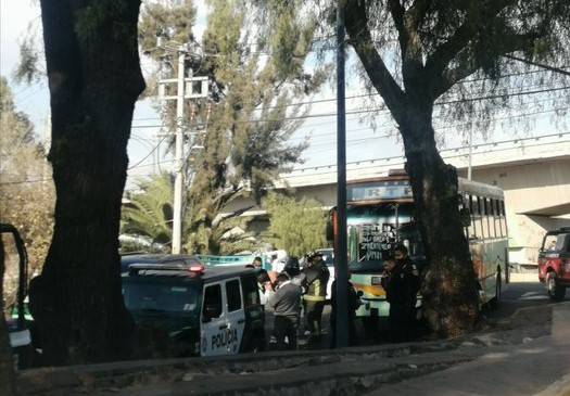 Ocho heridos luego de choque de RTP con árbol