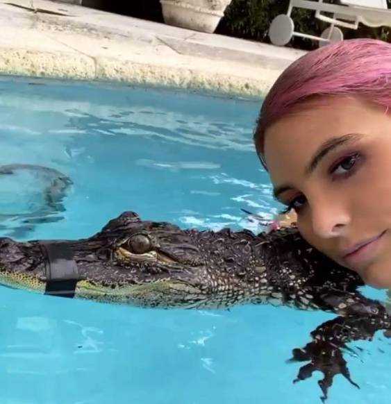 Lele Pons genera polémica con cocodrilo y la acusan de maltrato animal