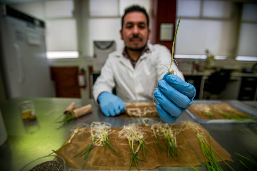 Fortalecen aportaciones para investigación y tecnología en el sector agropecuario