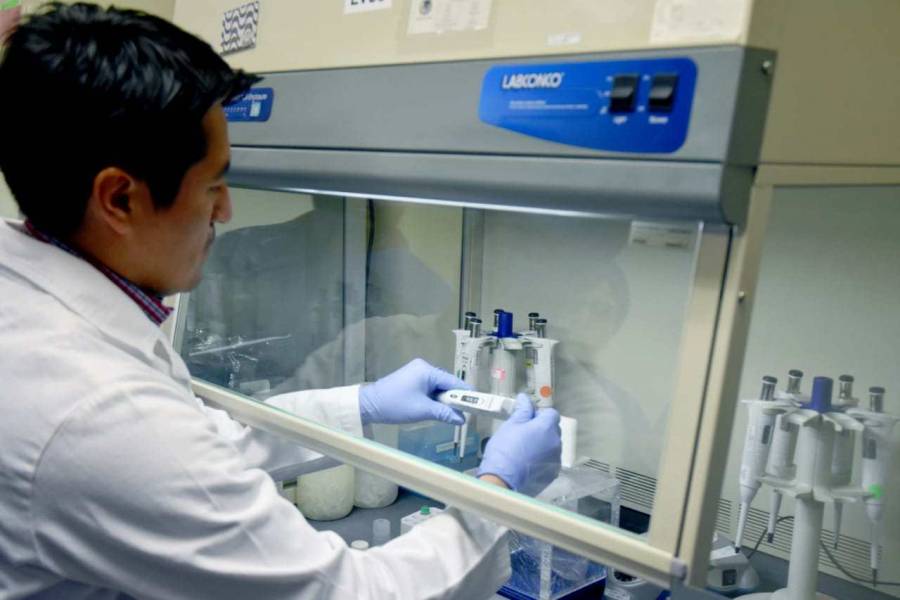 Designa FAO a laboratorios de Agricultura como Centros de Referencia mundial