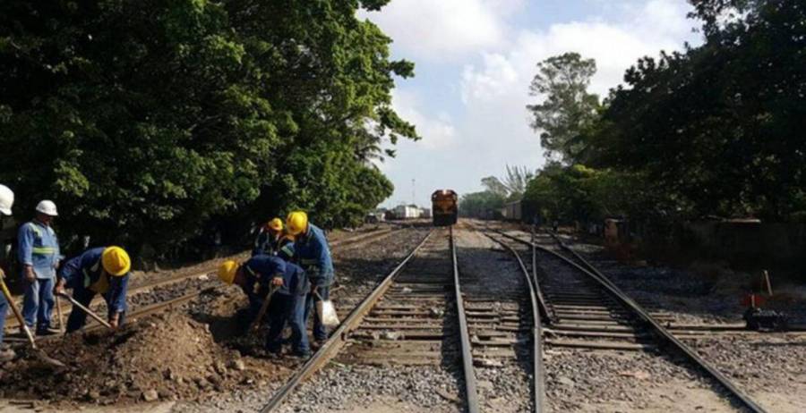 Suspende juez obras de Tren Maya en Yucatán