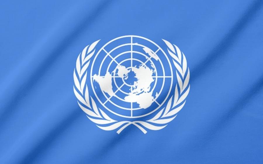 ONU: Pandemia es llamado de atenci&oacute;n sobre debilidad en materia de alimentos