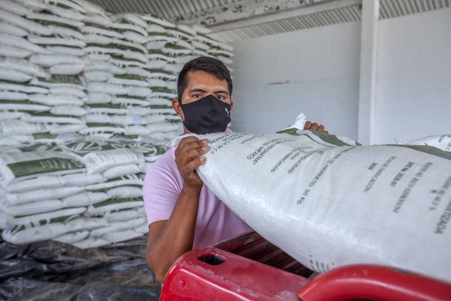 Reciben fertilizante casi cinco mil productores de maíz de pequeña escala de Morelos