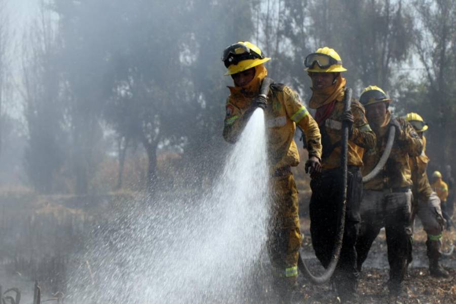 En la CDMX se disminuyó el 48.69% de área afectada por incendios forestales durante 2020