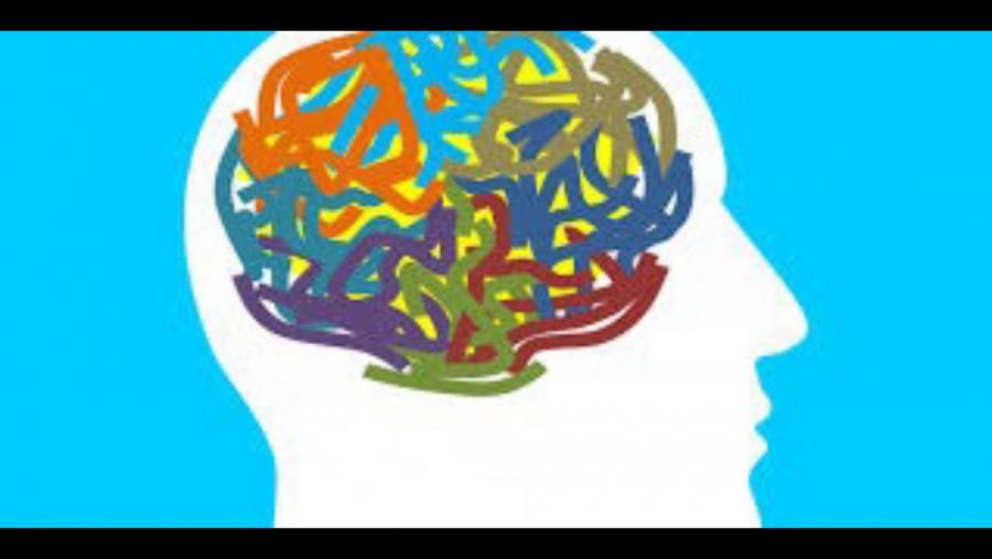 Urge atender problemas de salud mental durante el confinamiento, para evitar suicidios: Partido Verde