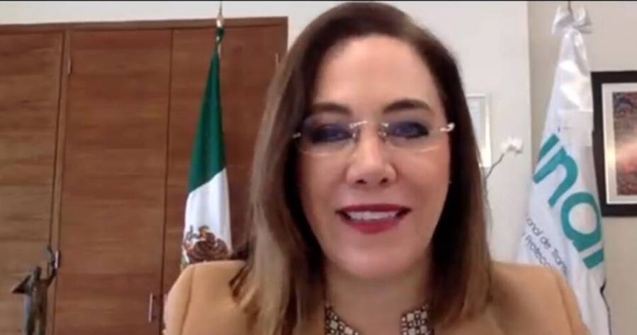 Organismos autónomos no son capricho, indican INAI e INE