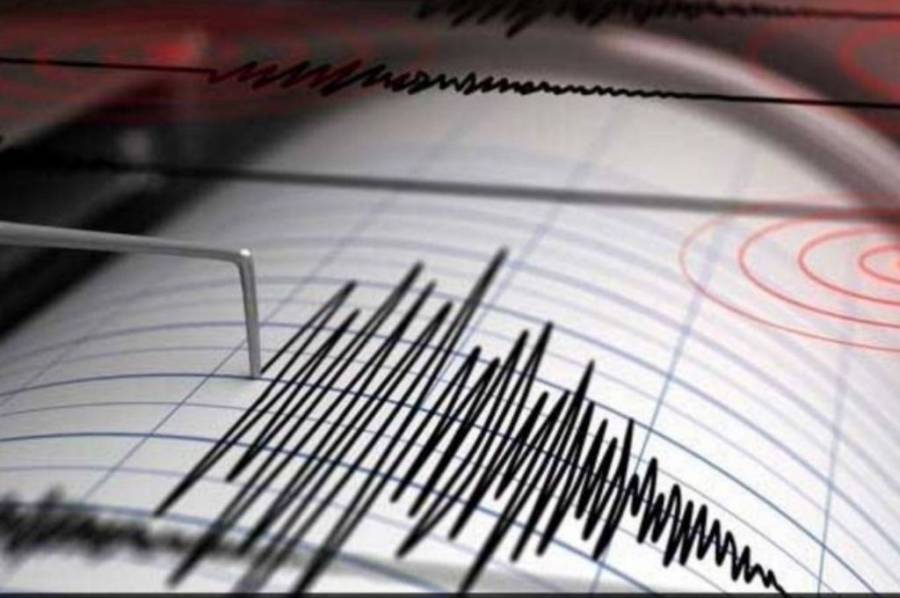 Sismo de 7.2 grados remece las islas de la Lealtad y Nueva Caledonia