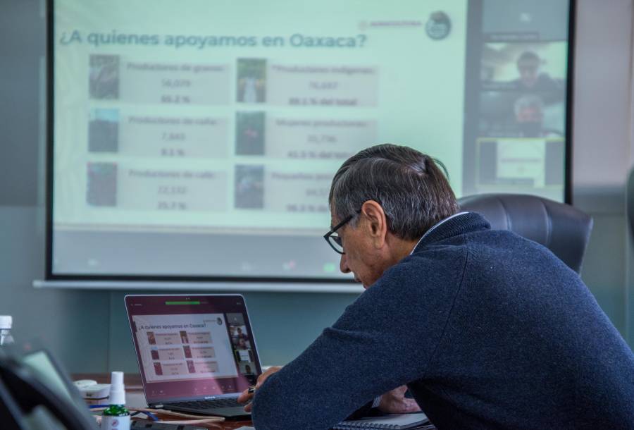 Más de 86 mil productores oaxaqueños reciben apoyos directos de Producción para el Bienestar