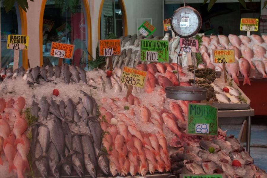 Agricultura: Garantizado el abasto de pescados y mariscos para la temporada de Cuaresma y Semana Santa 2021